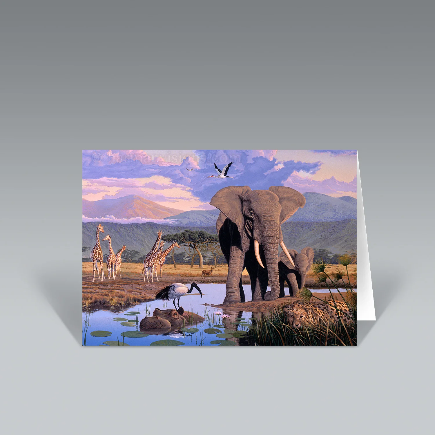 AFRICA ELEPHANT notecard