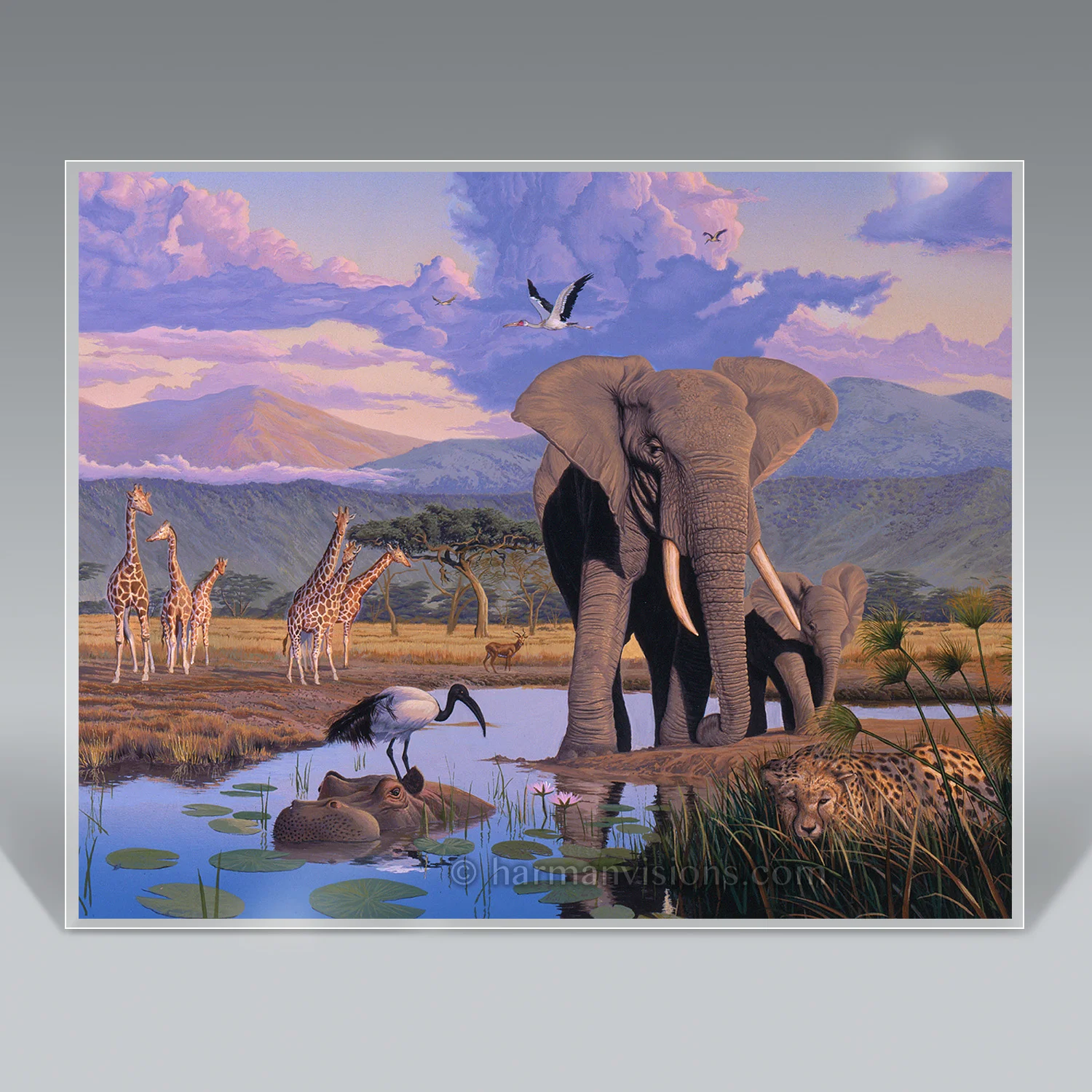 AFRICA ELEPHANT 8 x 10 print