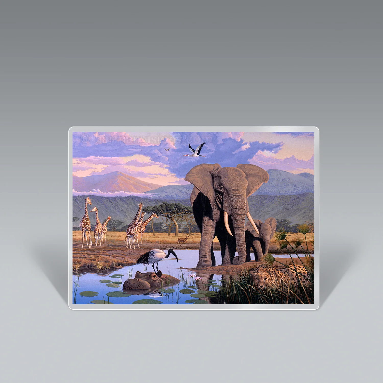 AFRICA ELEPHANT laminated altar card