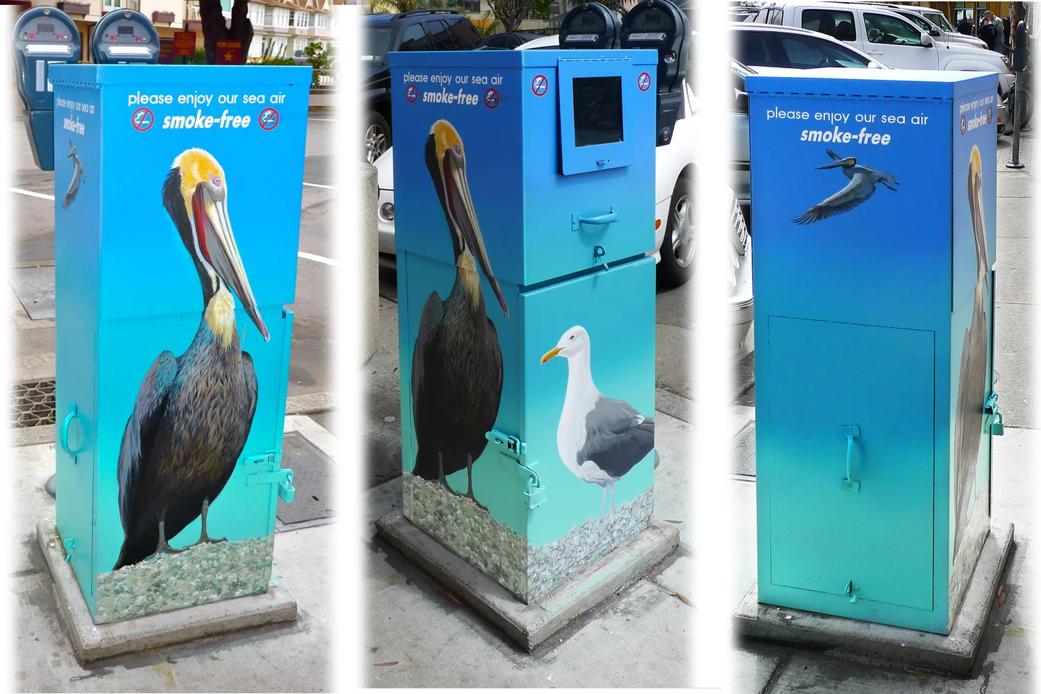Located in the heart of Capitola Village, this one has a public service message.