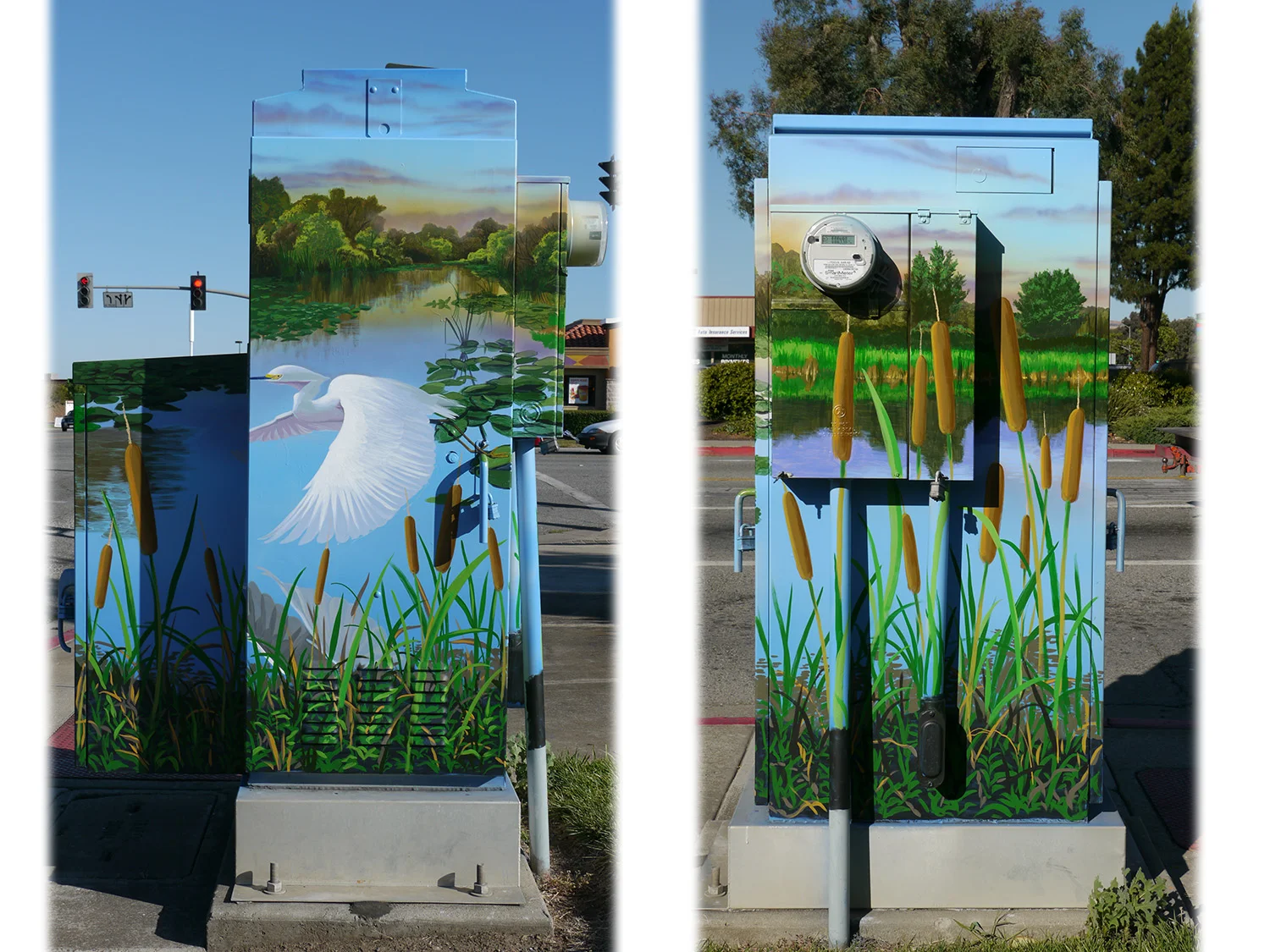 This large box has an ecology theme, featuring the beautiful wetlands found in the area near Gilroy.