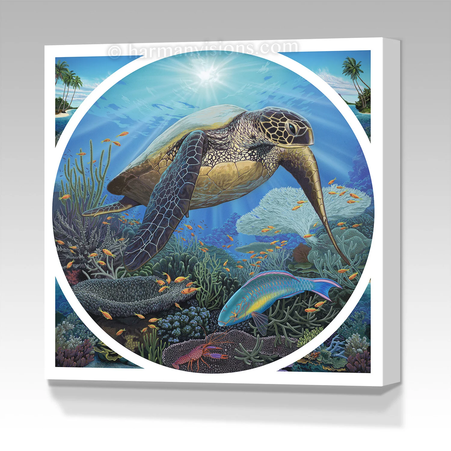 SEA TURTLE gallery wrap canvas