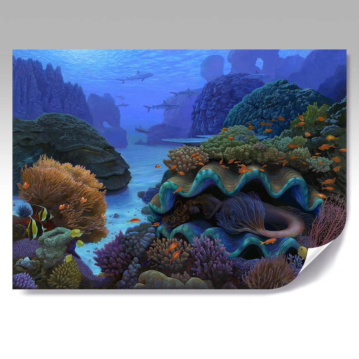 MERMAID COCOON poster