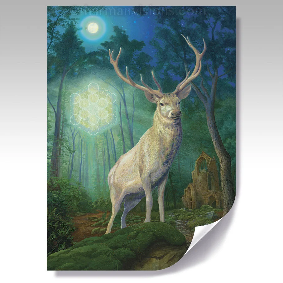 WHITE STAG poster
