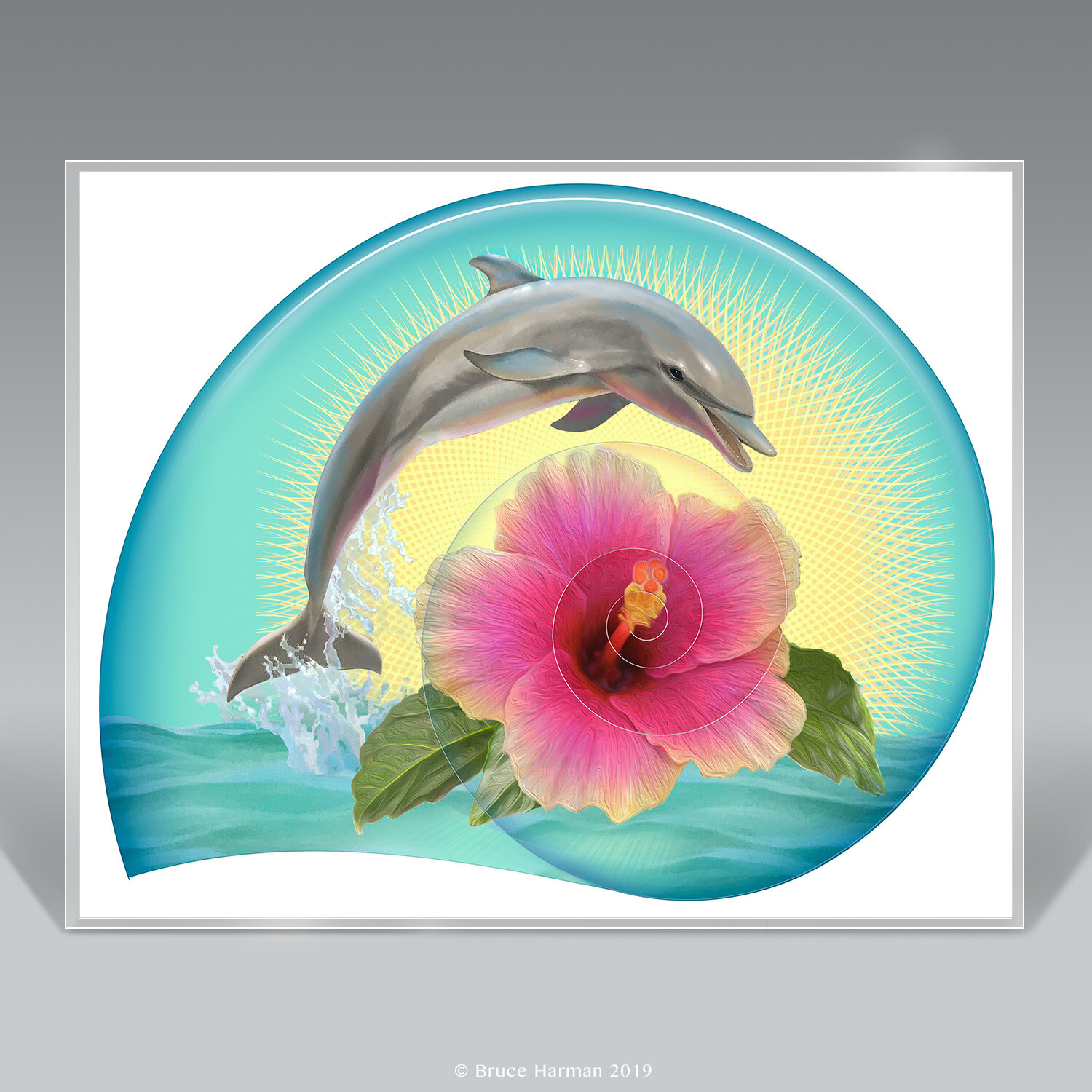 DOLPHIN HIBISCUS 8x10 print