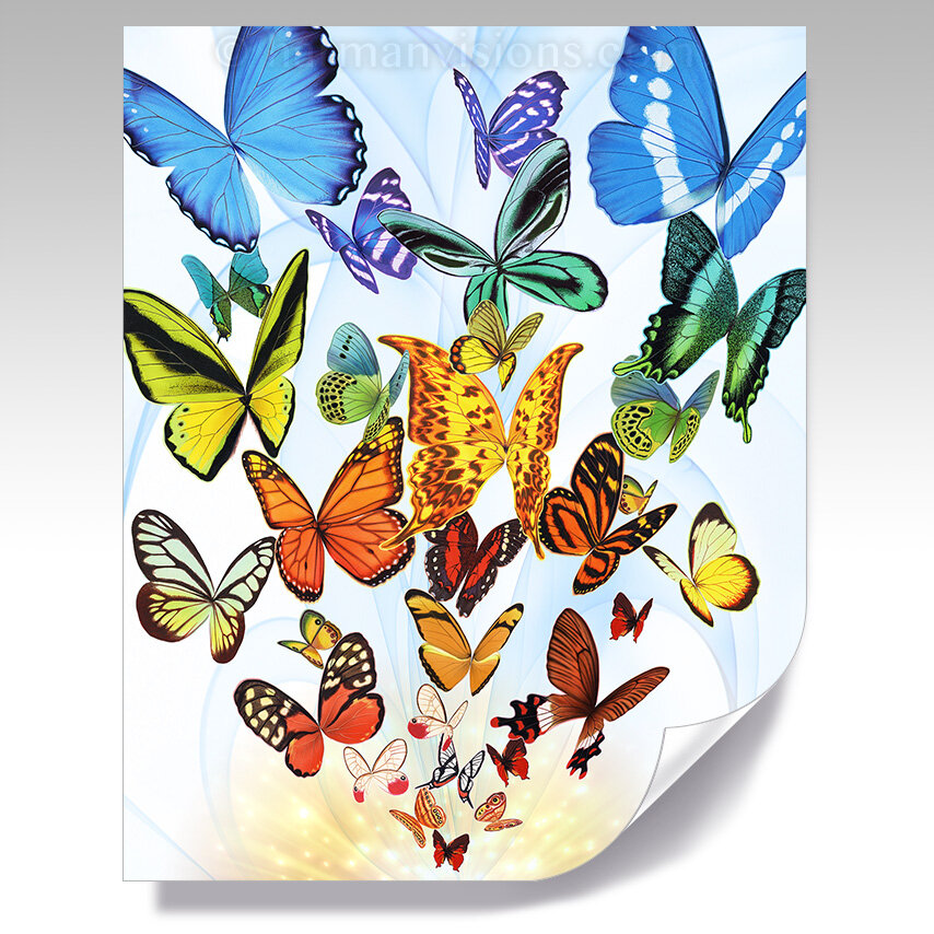 BUTTERFLY BOUNTY poster