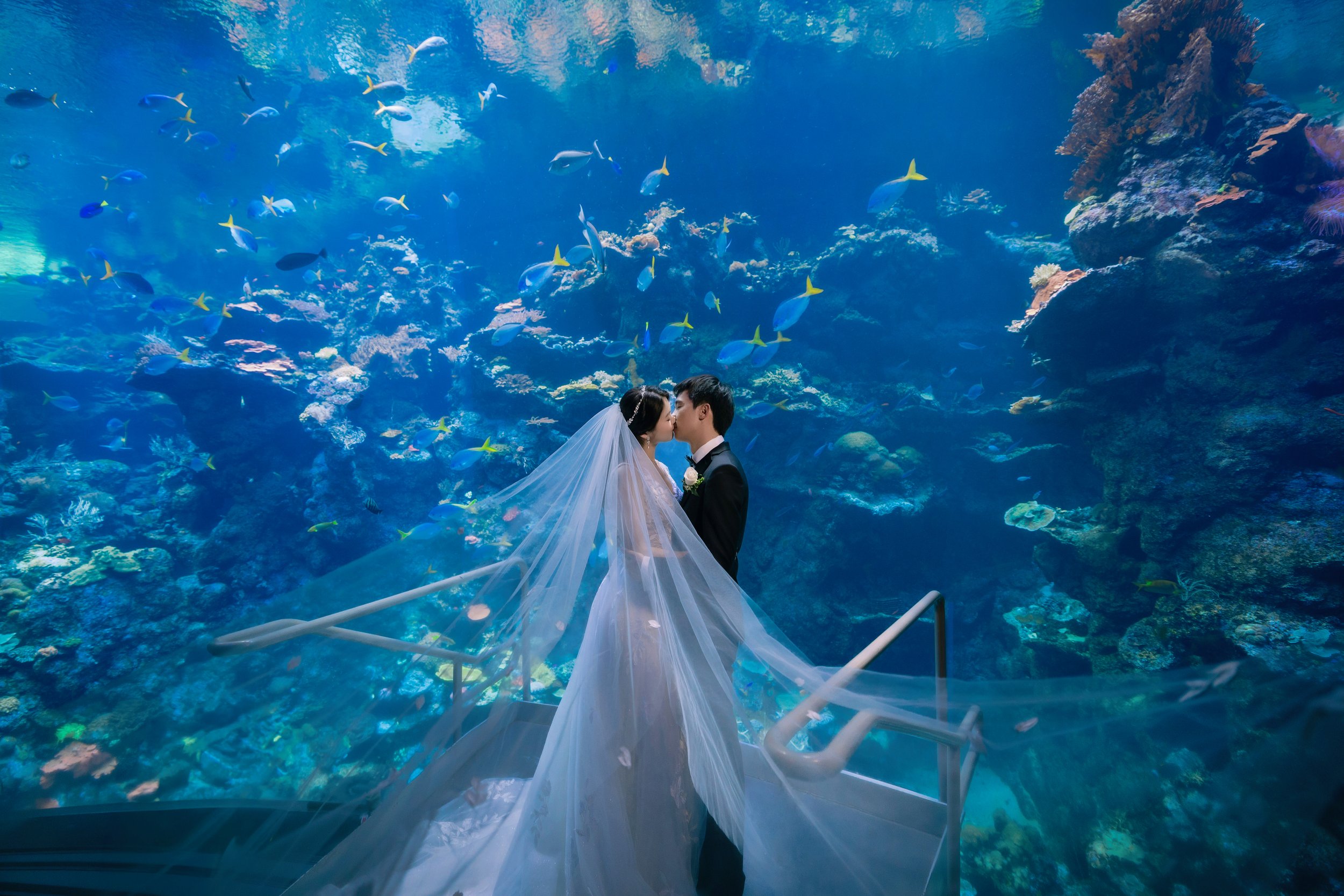 aquarium wedding.jpg