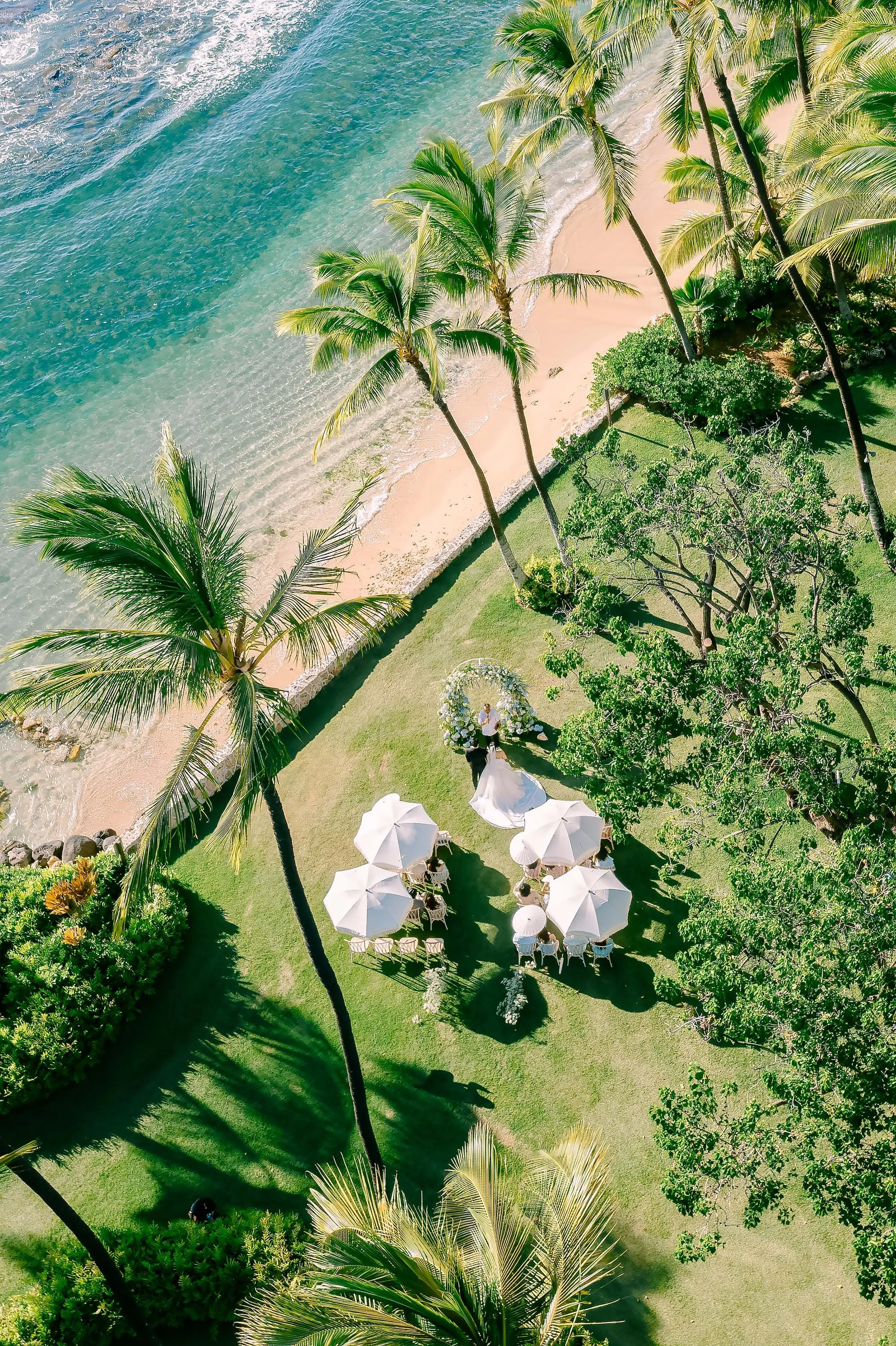 A wedding ceremony setup on a grassy area near a beach with tall palm trees and an arch decorated with flowers.