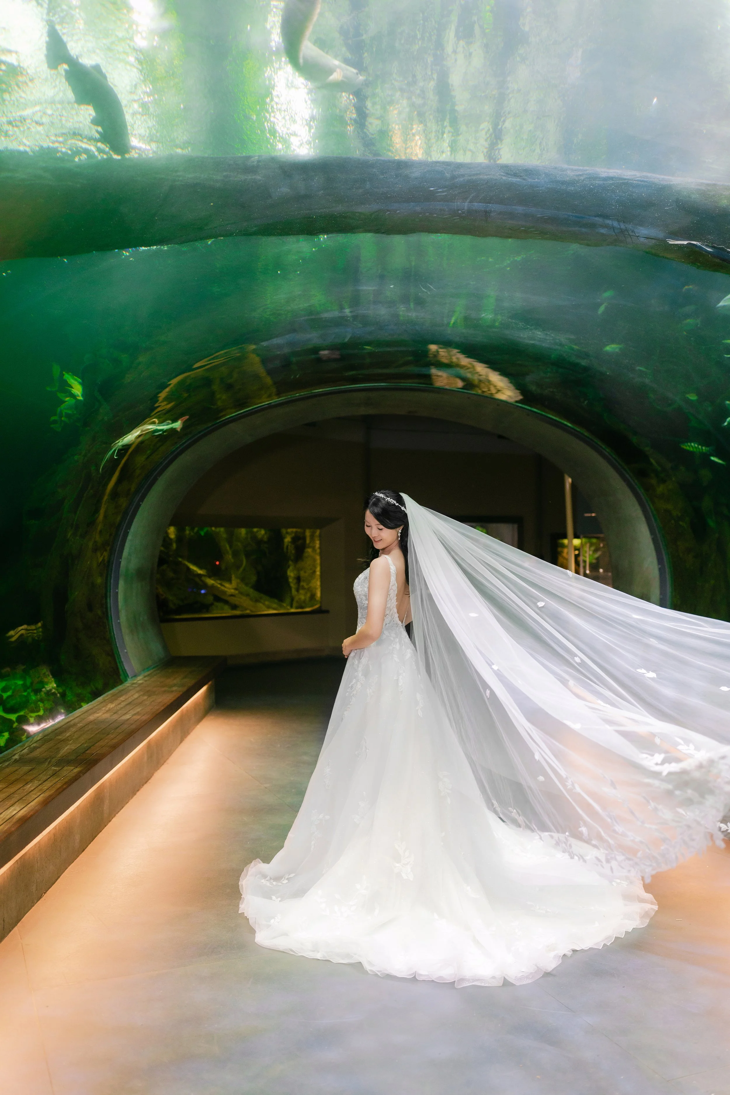 California Academy of Sciences  |  Christina &amp; Ray 