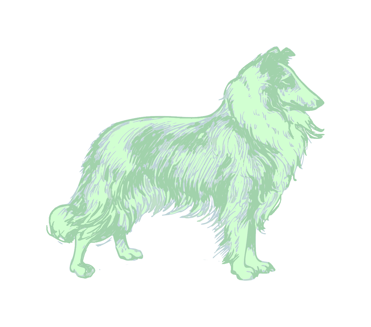 test.png