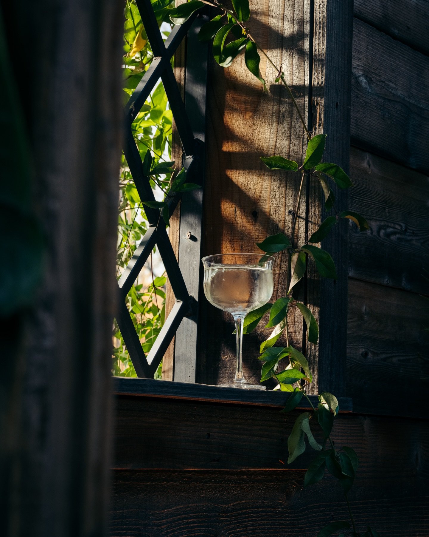 Make time for Snug this week. 🍸

📸 @joematty.jpg 
#cocktails #cocktailbar #sacramento