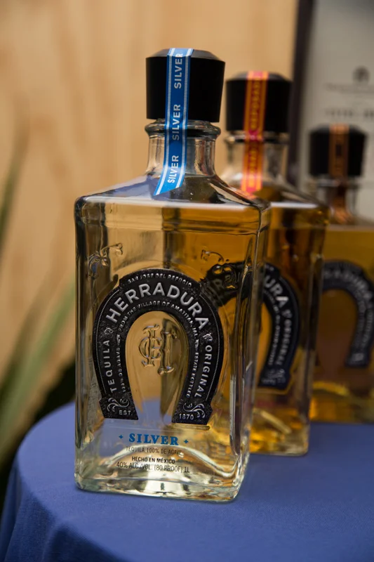 SWong_Thrillist-014.jpg