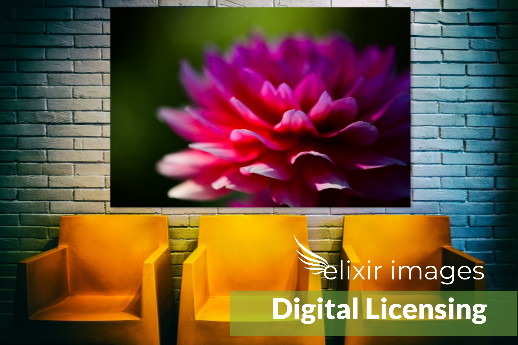 Digital License 2.jpg