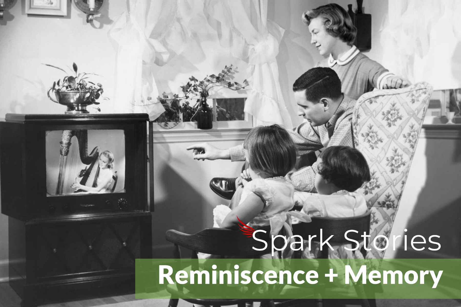 Spark Reminiscence & Memory.jpg