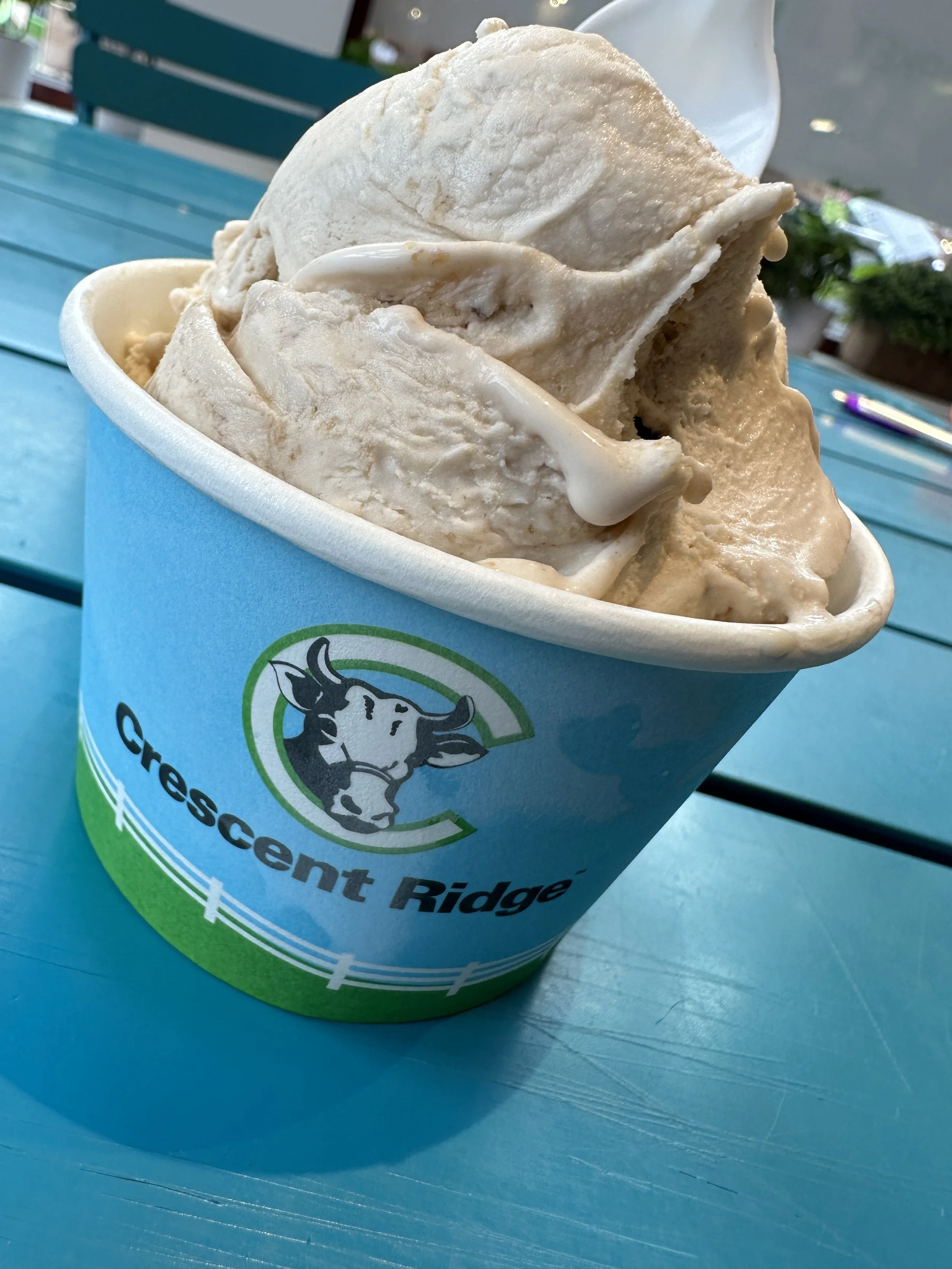 Best Ice cream Spots in the Boston Area