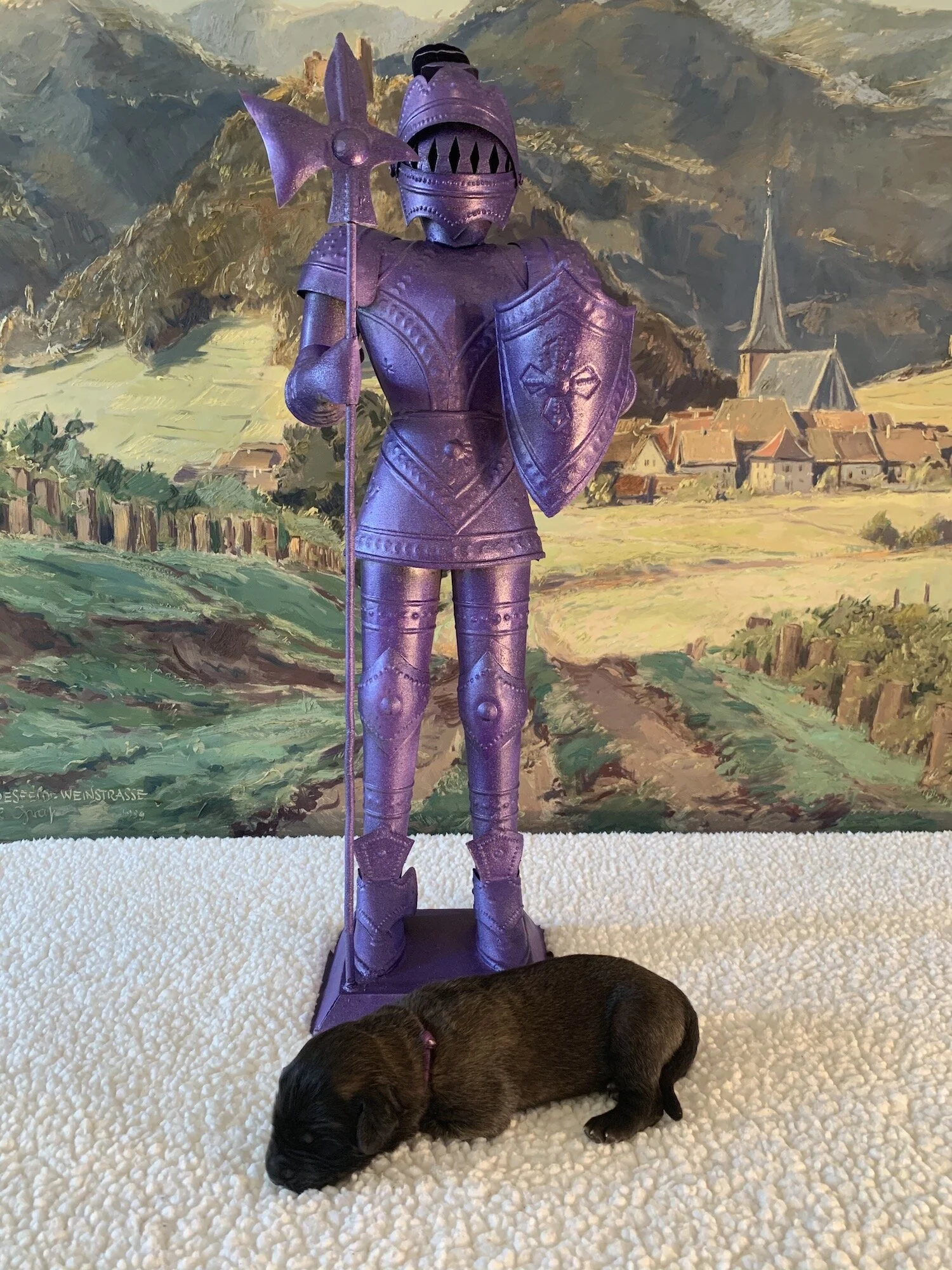 knight-lion-purple-wk1.jpeg