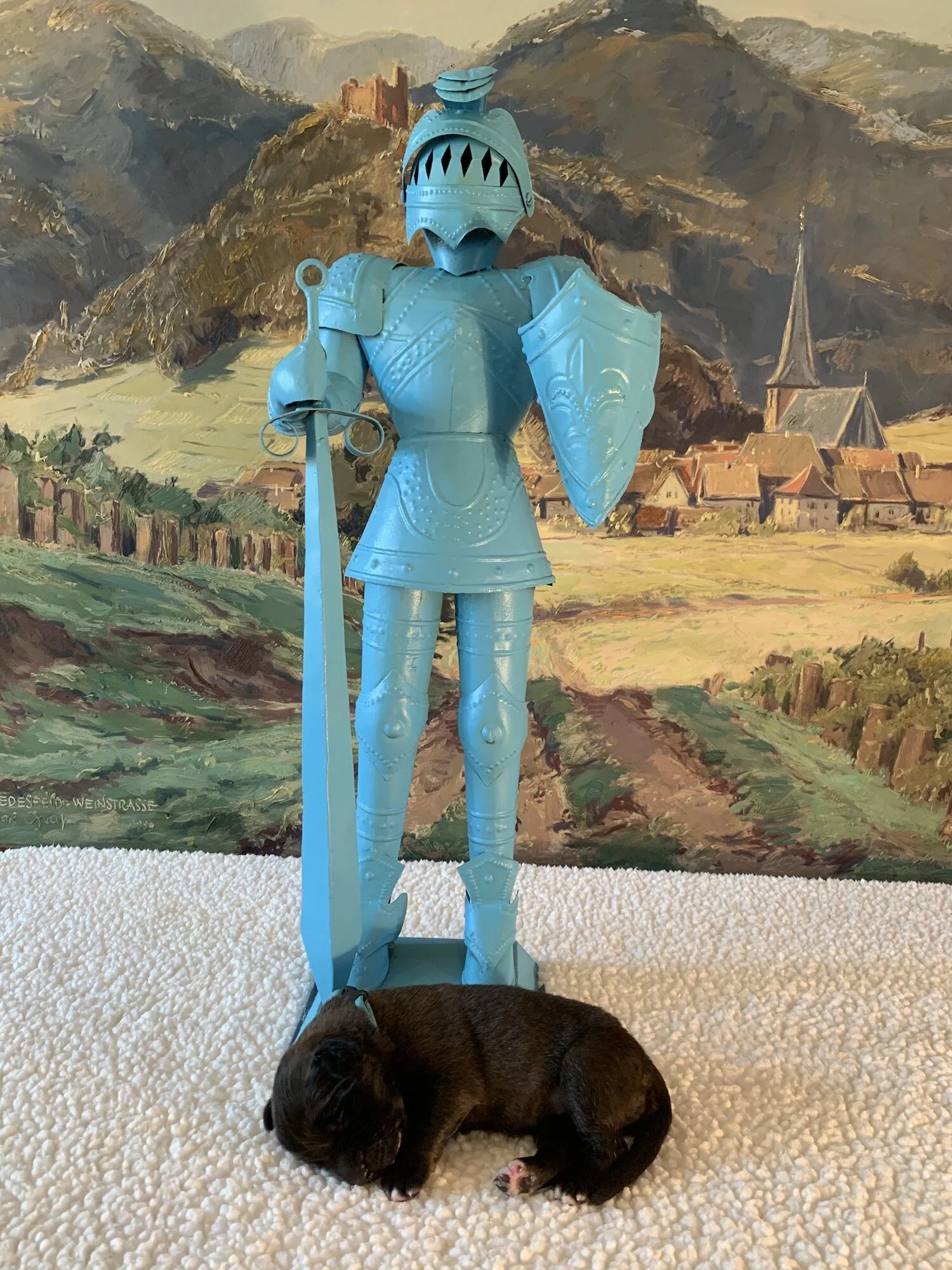 knight-lion-turquoise-wk1.jpeg