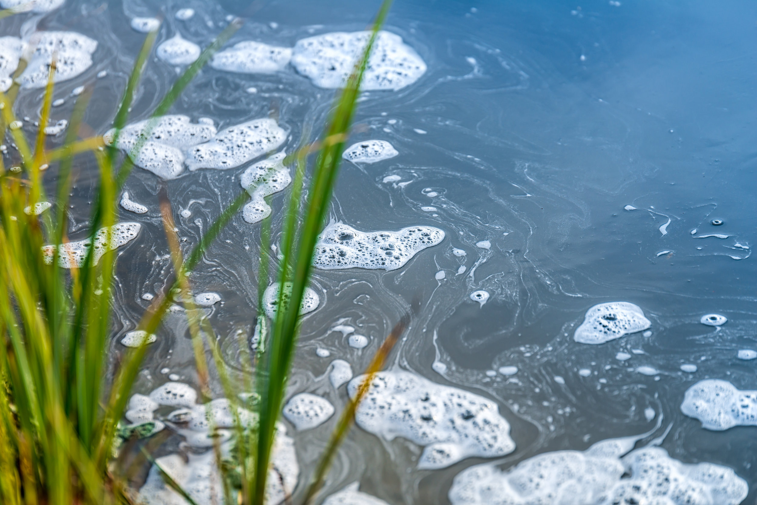 AdobeStock_73152071.jpeg