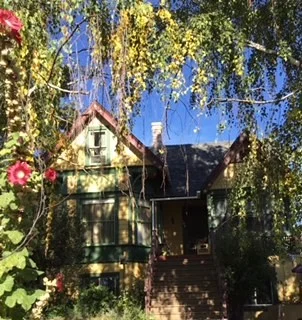 old house.jpg
