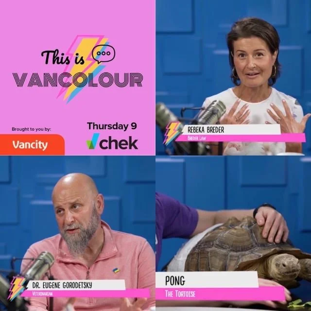 #202 - Rebeka Breder / Dr. Eugene Gorodetsky / Pong the Tortoise