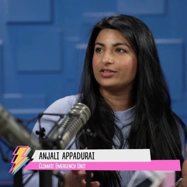 Are protests calling for an Israel-Gaza ceasefire "antisemitic"? (Anjali Appadurai)
