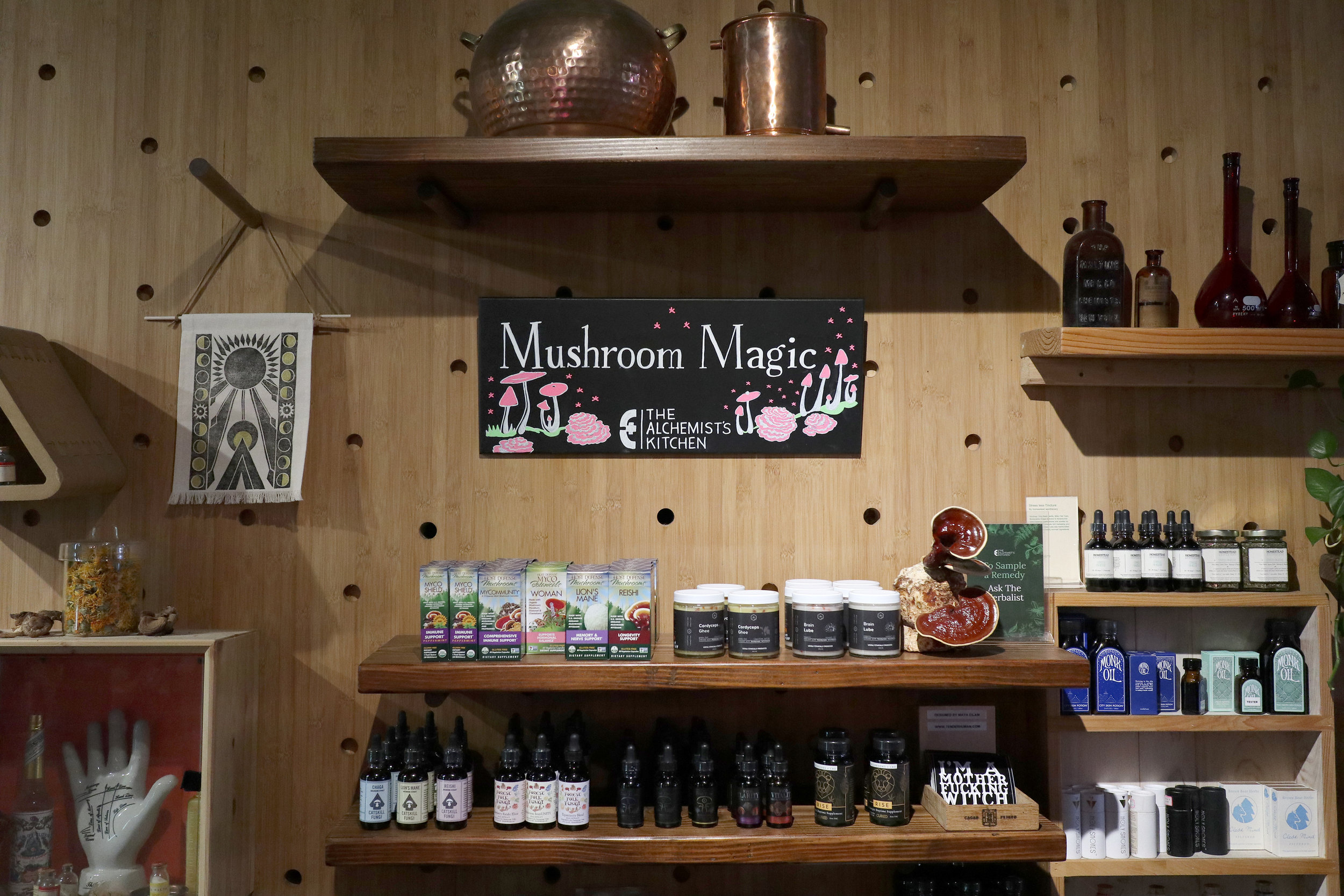 MushroonMagic-OnDisplay-SignPainting-ORygelis.jpg