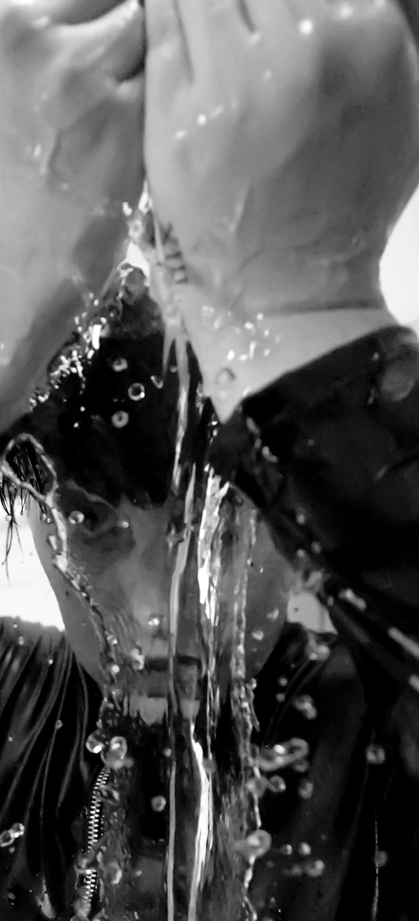 The Spider and The Fly