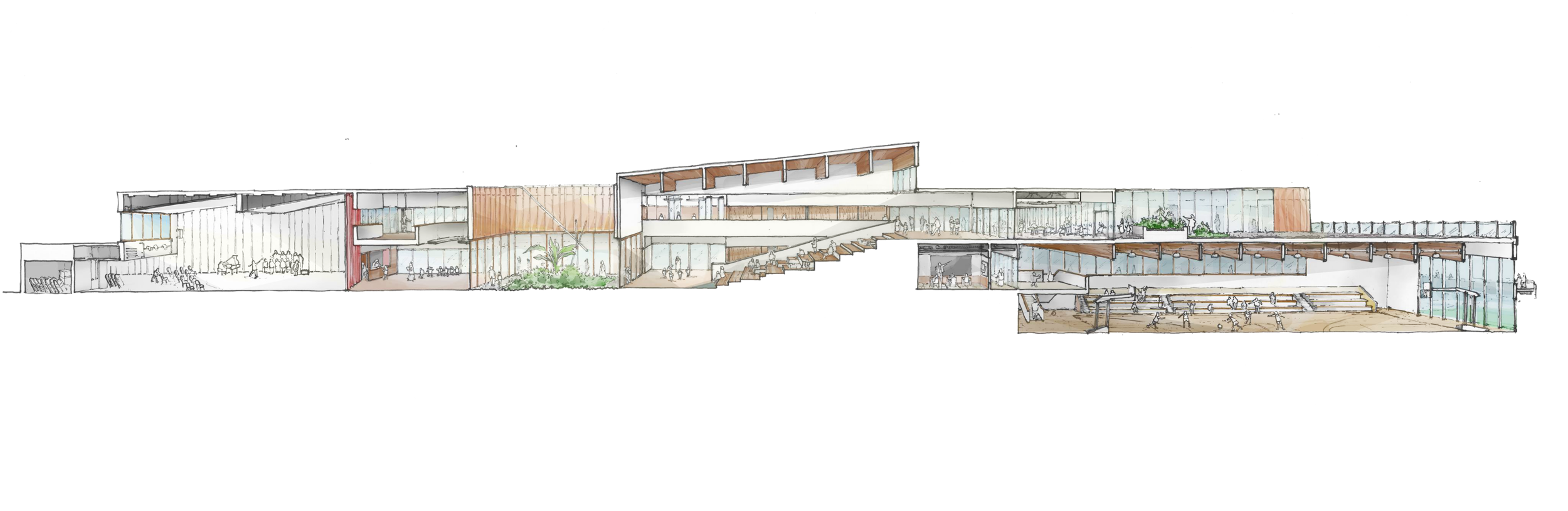 section sketch.png