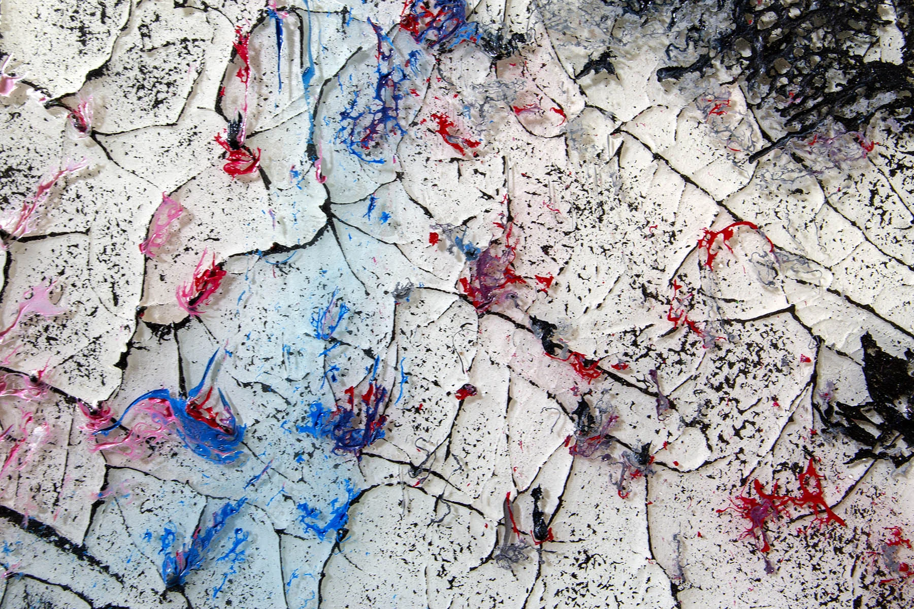 Untitled (C2201724, Detail)