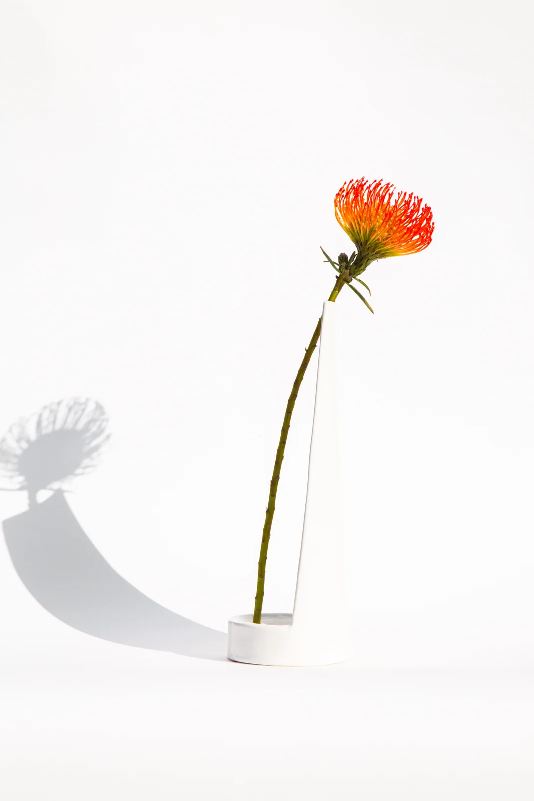  photo by: Mikaela Keen 