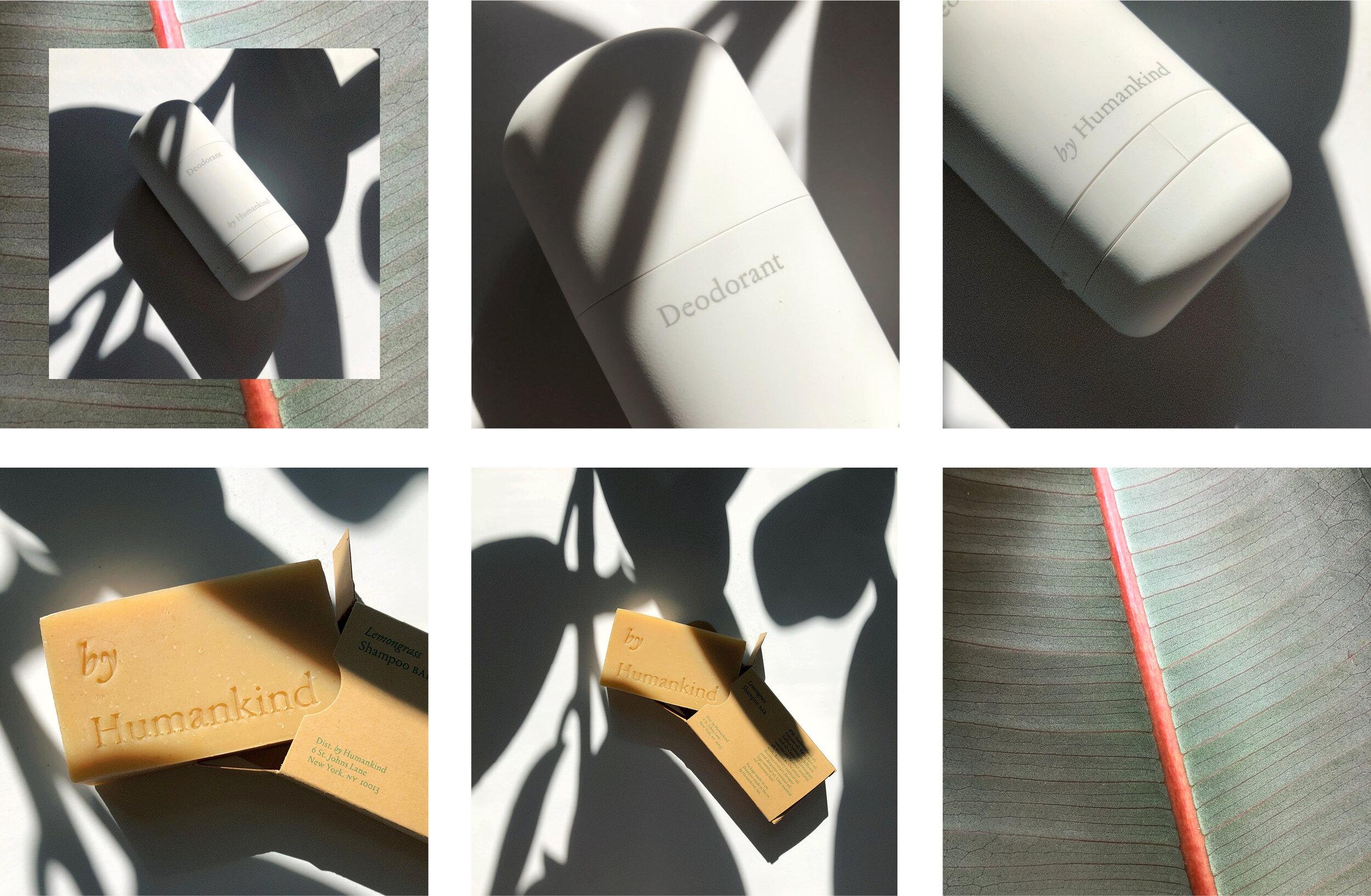 portfolio_social graphics template6.jpg