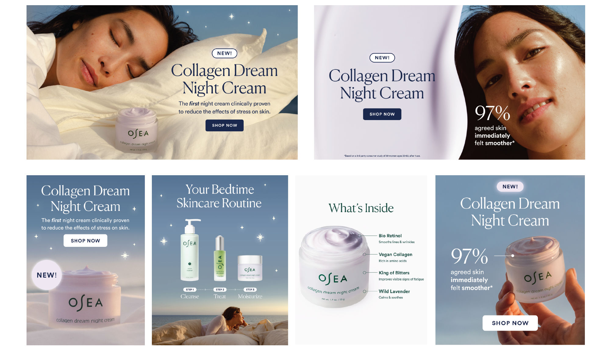 cdnc portfolio-04.png