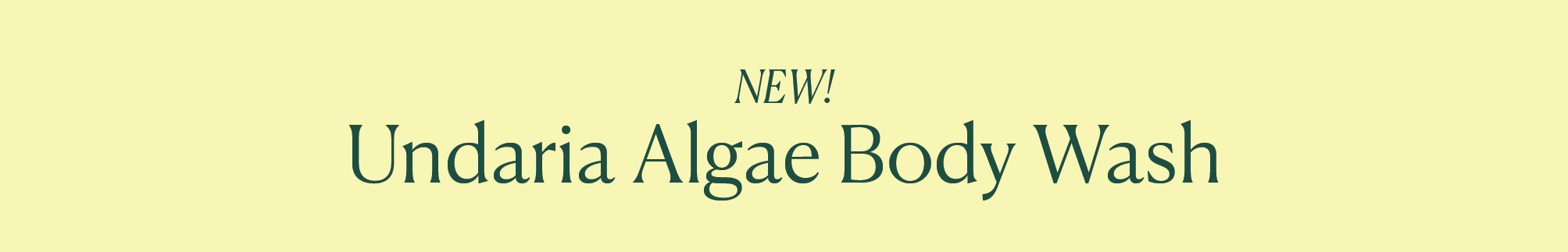 uabw portfolio-02.png