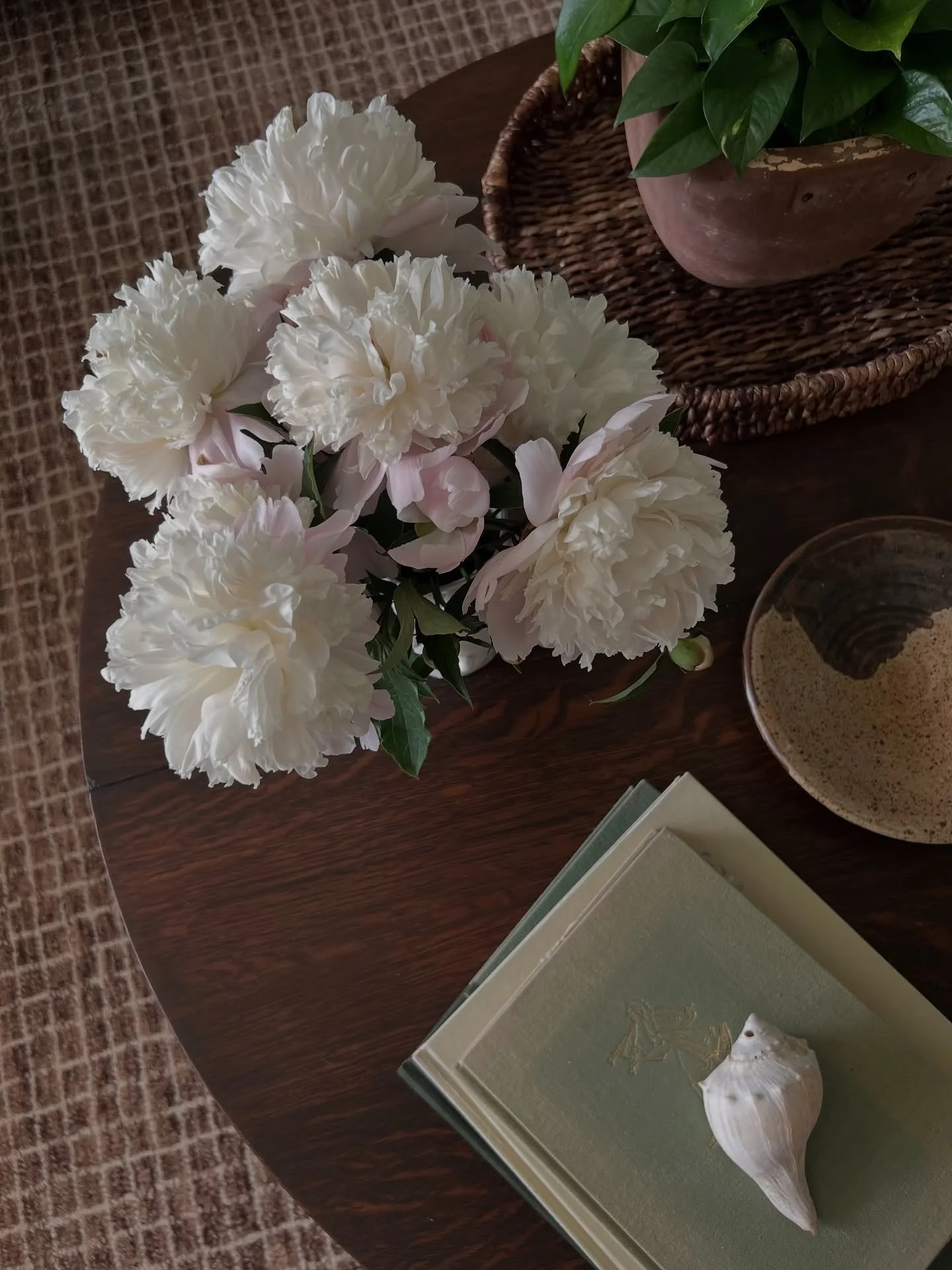 🌼 June is feeling like summer at last, and looking back, we&rsquo;ve gotten so much done already!
&bull; Got creative by the side door&mdash;ivy stick pending..
&bull; Saw Benson Boone with my sisters 🎶
&bull; Spray painted the outdoor table &amp; 