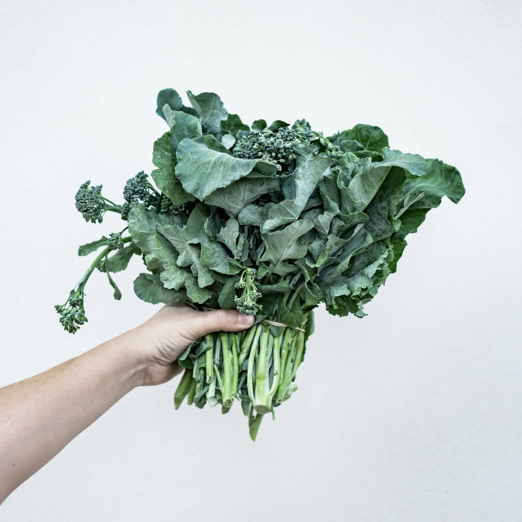 Guide to GREEN Living
