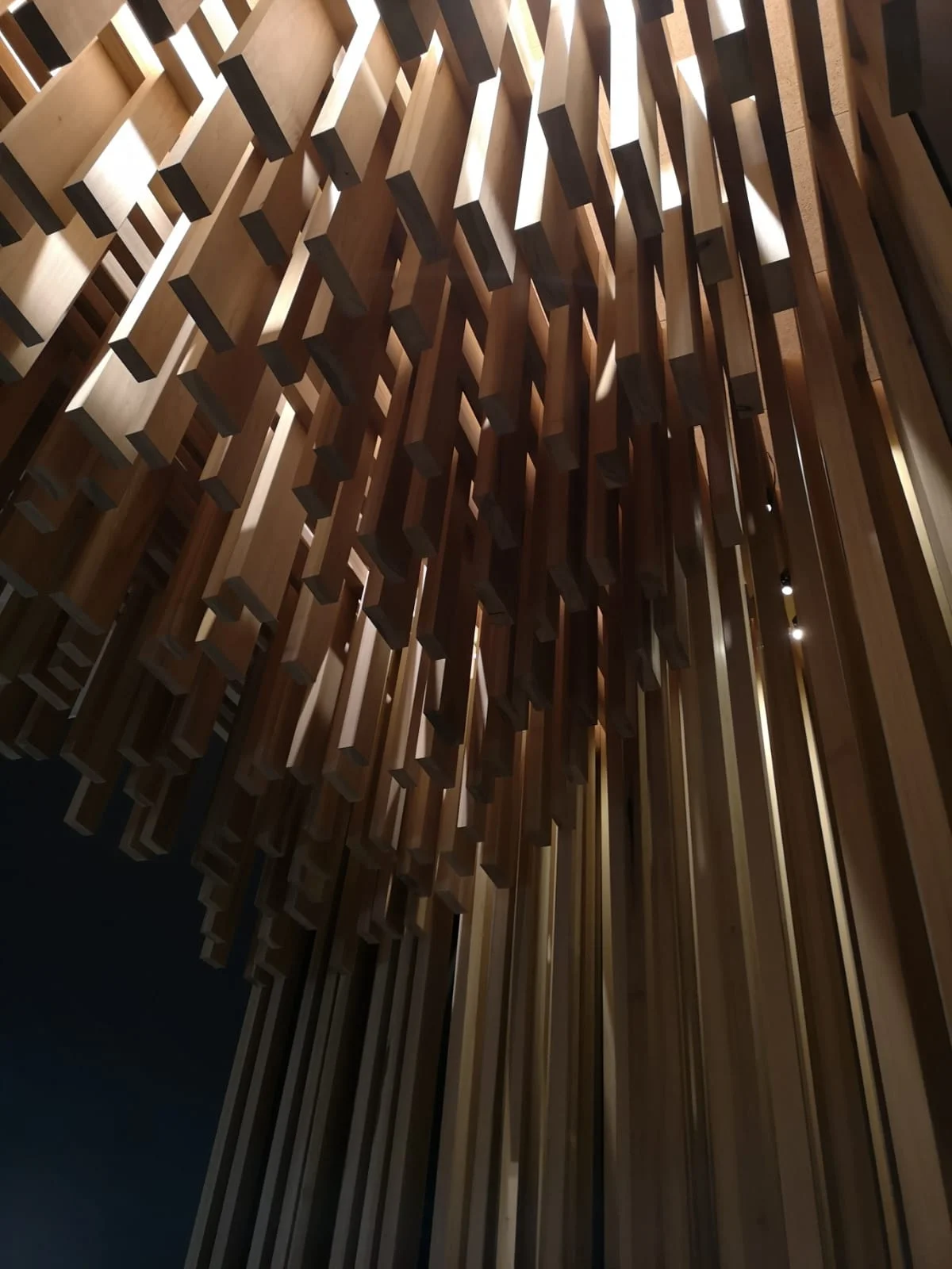 David Adjaye - WFTC.jpeg