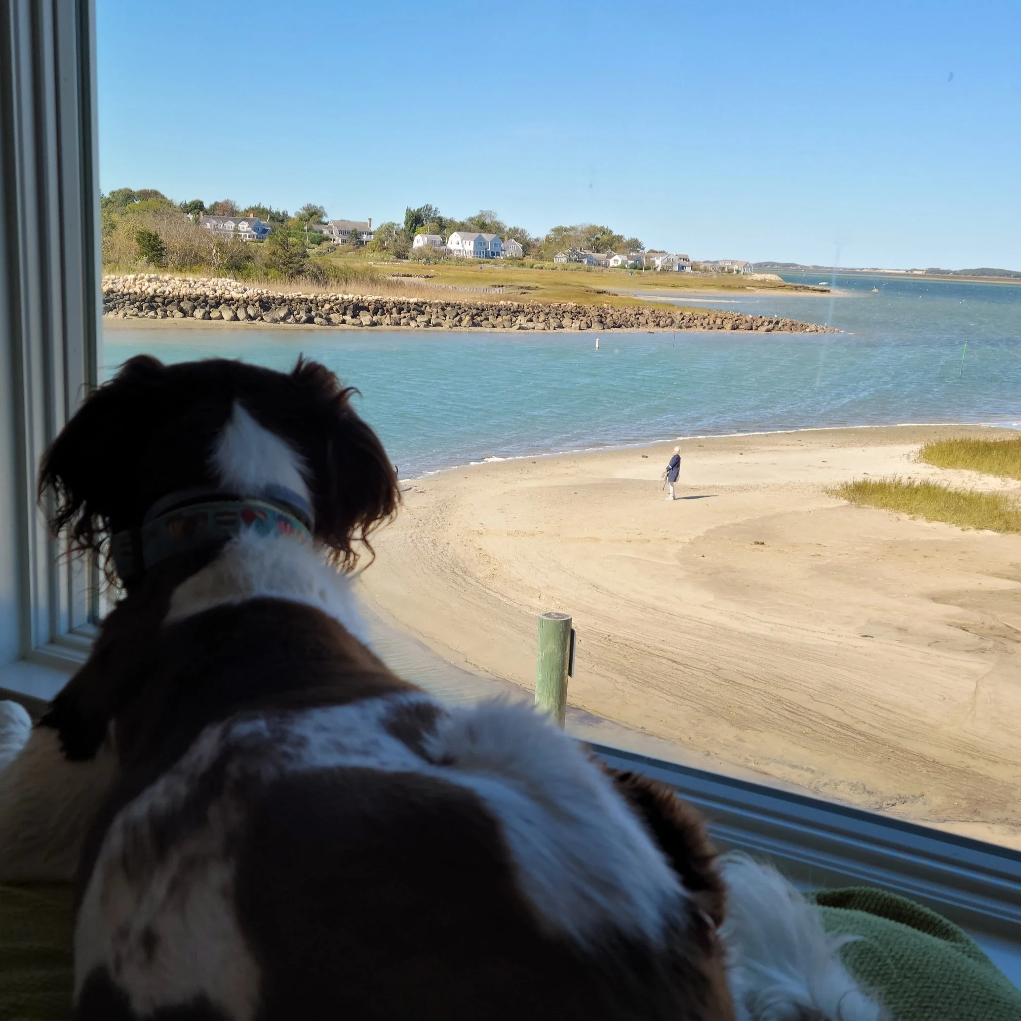 Good Faith Estimate — Cape Cod Psychology, LLC