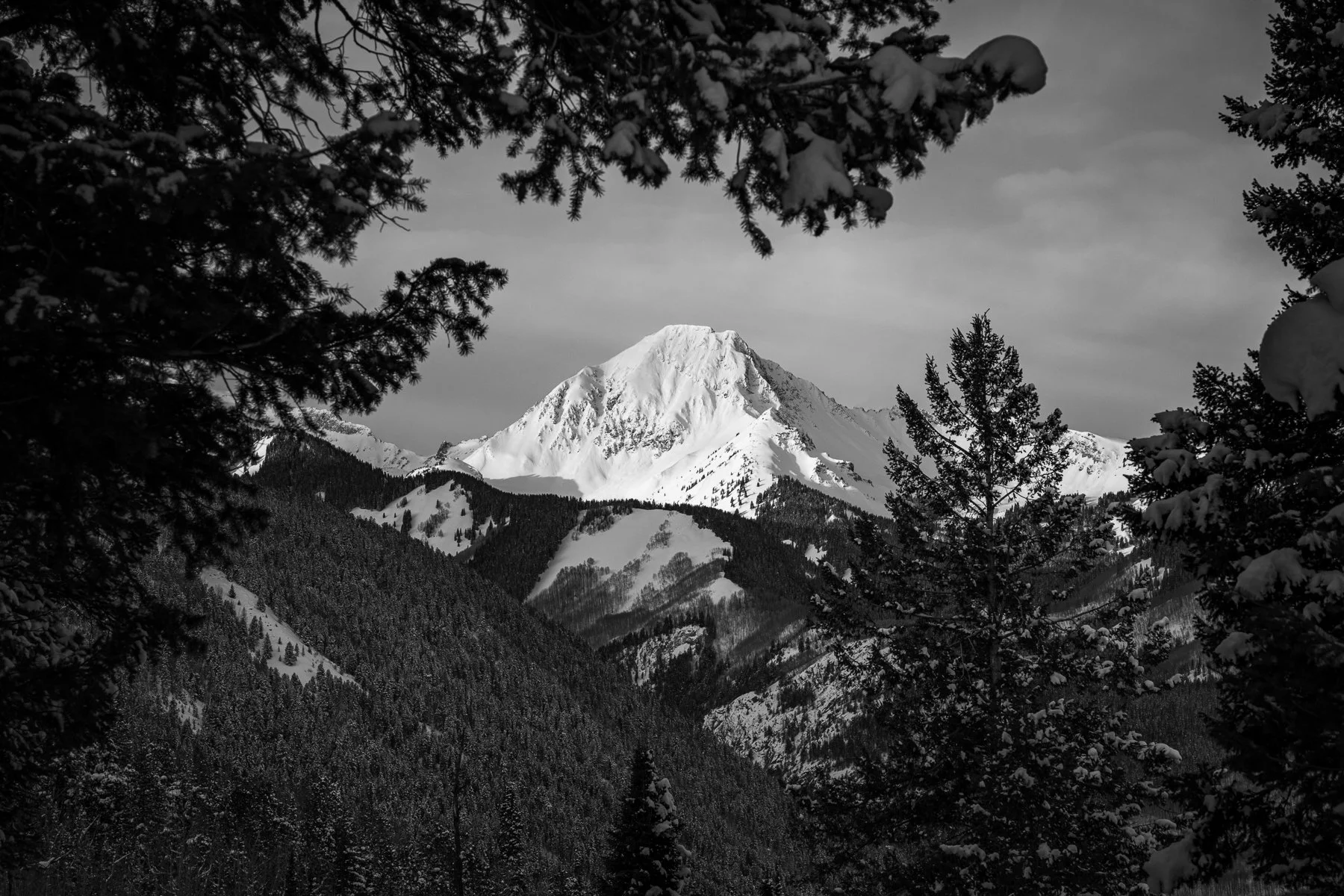 Fine art photograph of Mt. Daly at sunrise in the winter located outside of Aspen, Colorado.