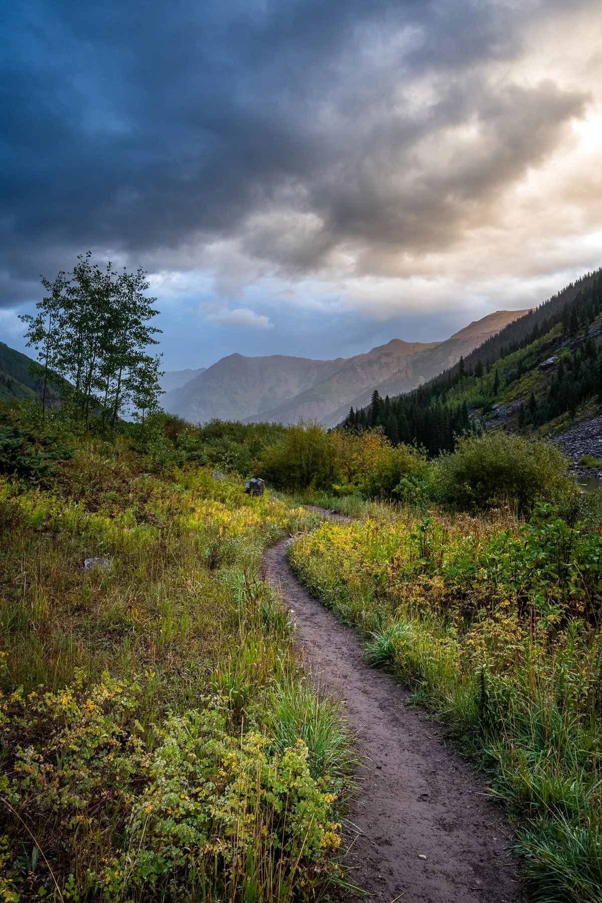 Trailhead Tales-1.jpg