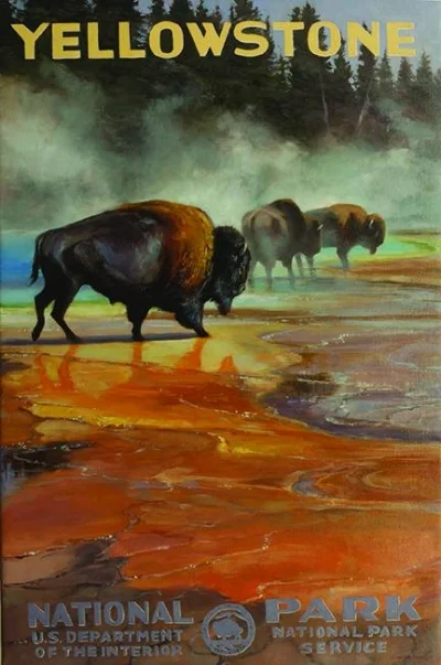 Yellowstone National Park | Grand Prismatic & Bison