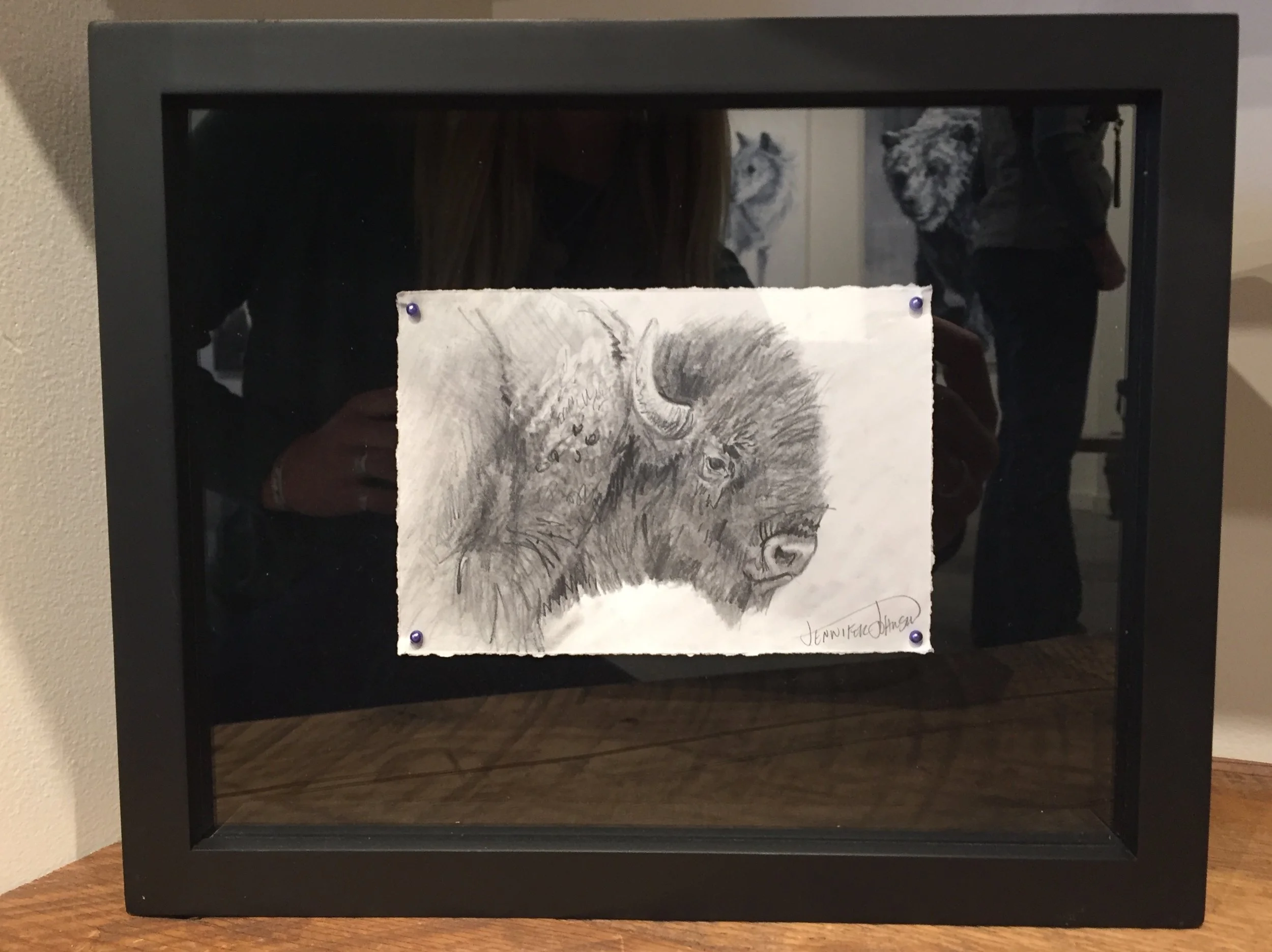 Studies of Yellowstone Wildlife