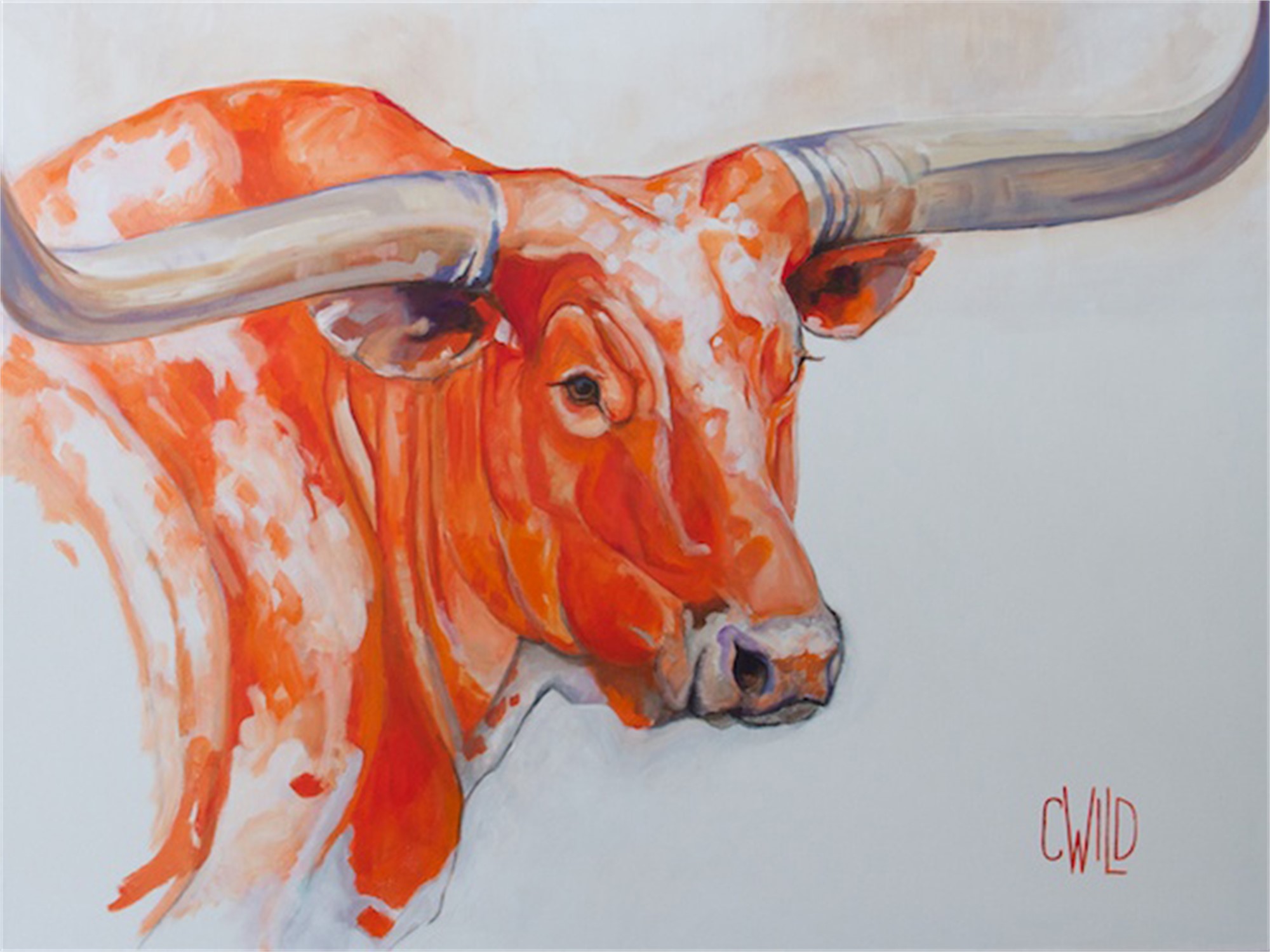 Bevo