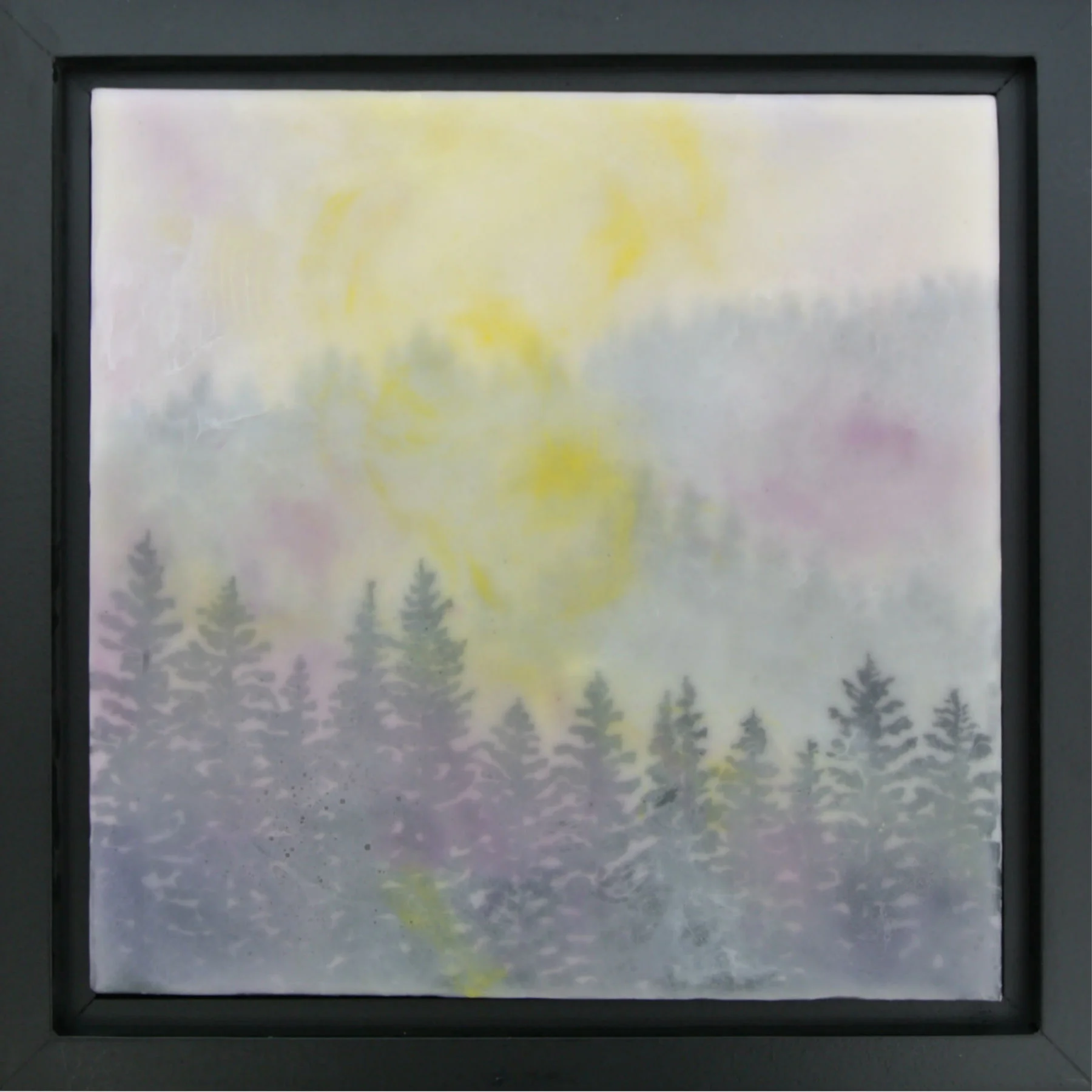 Bright Study