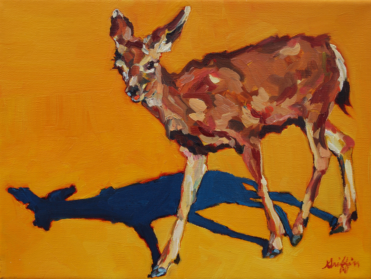 Doe @ Grand Canyon