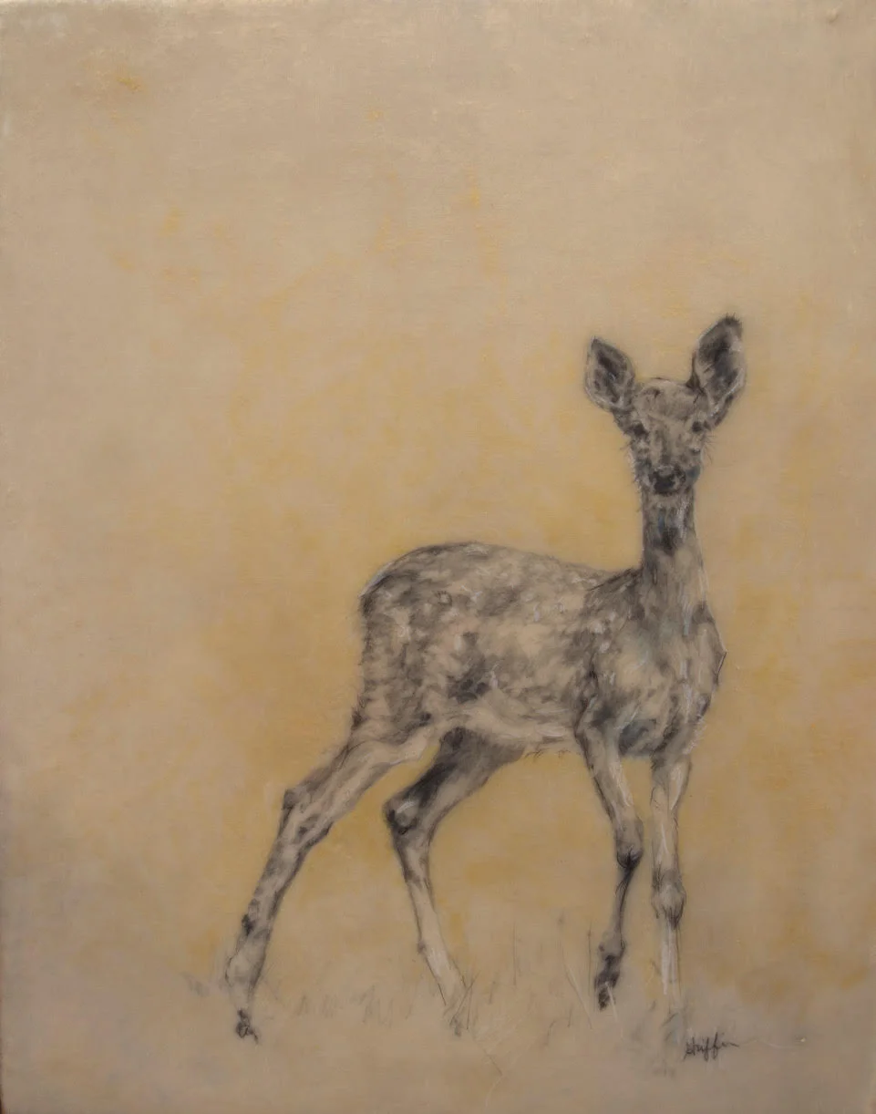 Fawn