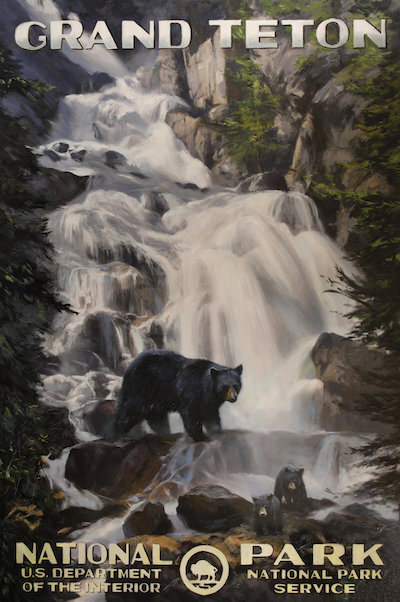 Grand Teton National Park | Hidden Falls & Black Bears