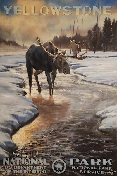 Yellowstone National Park | Winter Moose