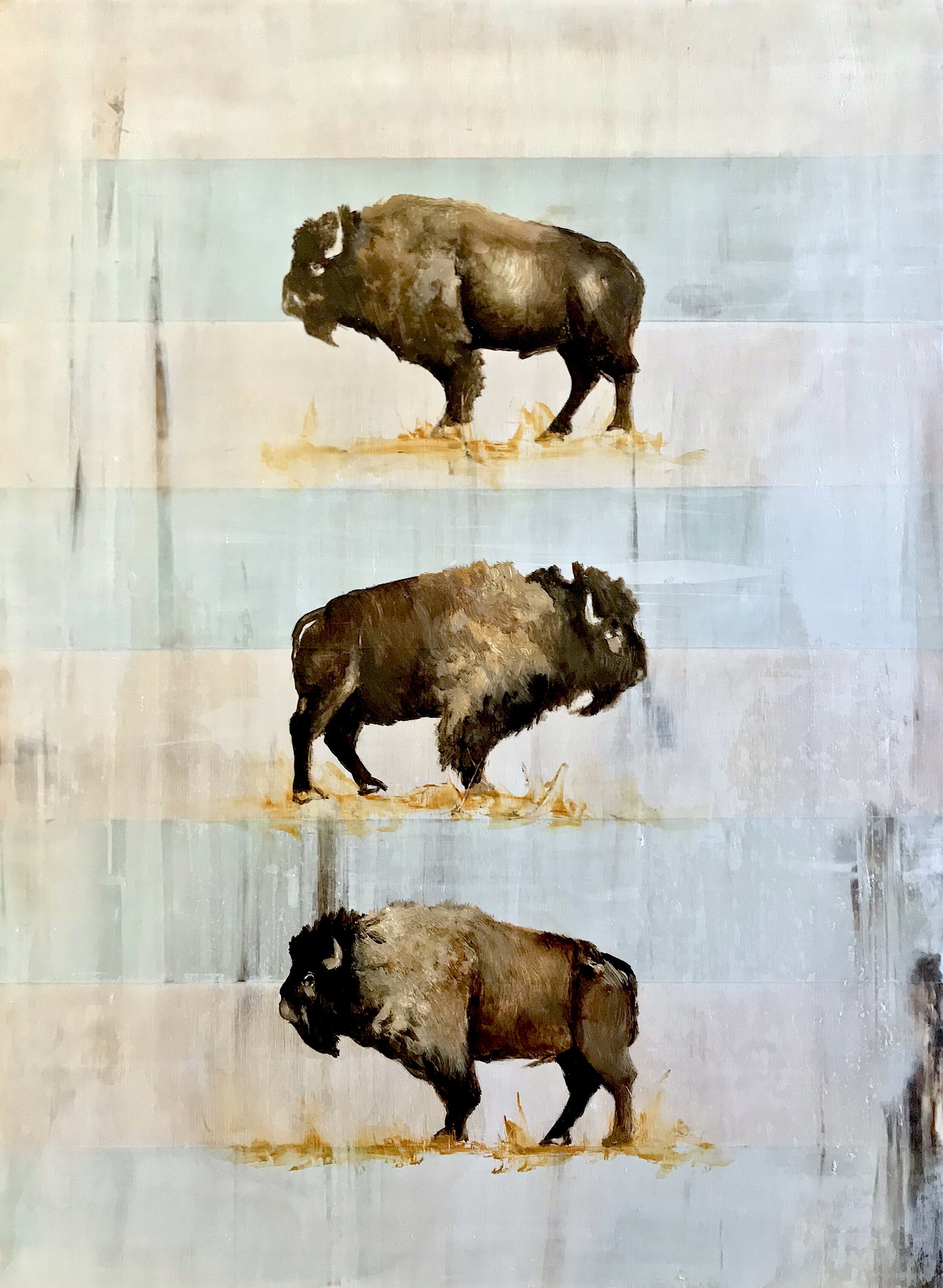 Conservationists