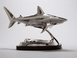 Caribbean Reef Shark