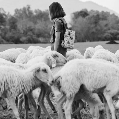 woman with sheep.jpg